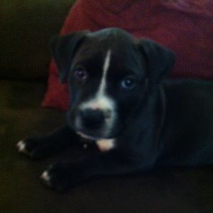 Meet your Posher, Melissa